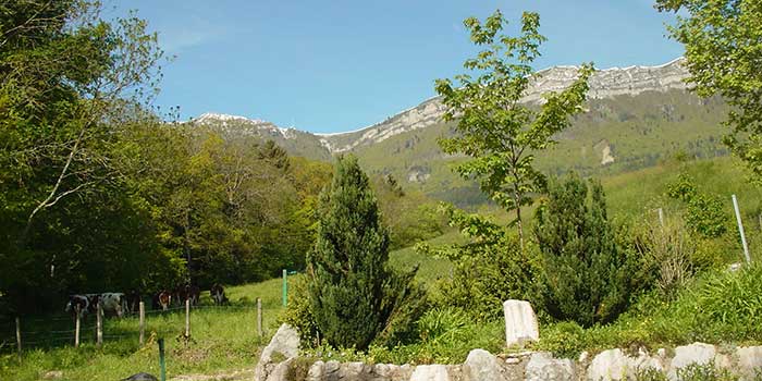 Vue du Camping les Portes de Trièves